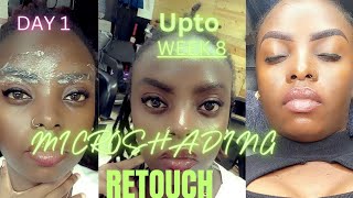 MICROSHADING Eyebrows RETOUCHING After 8WEEKS PROCESS microblading eyebrows microshading [upl. by Seagraves]