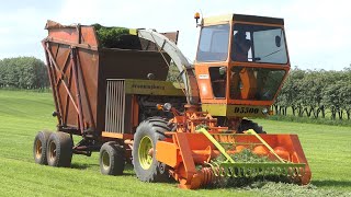 Dronningborg D5500 Forage Harvester on duty in the field Chopping Silage  DK Agriculture [upl. by Ardnala]