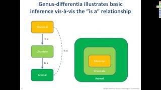 Ontologies [upl. by Adara]