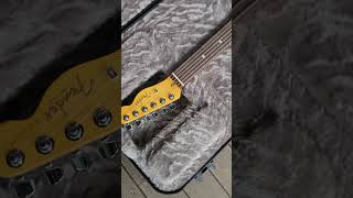 펜더 아메리칸 프로페셔널 2 텔레케스터 다크나이트 FENDER AMERICAN PROFESSIONAL2 TELECASTER DARK NIGHTFENDER 펜더 텔레케스터 [upl. by Ferreby]