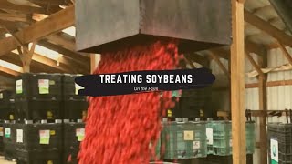 Treating Soybeans on Farm w Portable Seed Treater [upl. by Noiemad817]