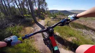 Laggan Wolftrax Lower Red  mtb [upl. by Gaulin]