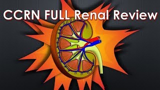 CCRN Renal Review  FULL [upl. by Tirrag]