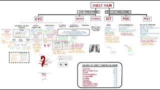 Approach to Chest Pain [upl. by Bensky]