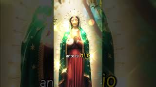 virgendeguadalupe amor fe oración a la virgen de Guadalupe [upl. by Kcirdor]