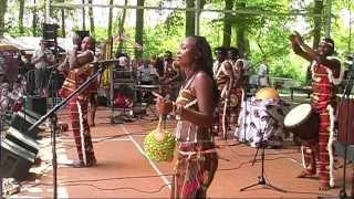 Faso Denya  4  LIVE at Afrikafestival Hertme 2010 [upl. by Cinimod]