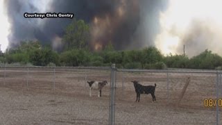 Willow Fire now 40 percent contained in Arizona [upl. by Boycie]