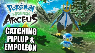 POKEMON LEGENDS ARCEUS HOW TO CATCH NO 161 PIPLUP amp NO 163 EMPOLEON [upl. by Nahtanaoj]