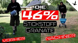 Rasendünger Harnstoff 46 Stickstoff🚩Rasenrettung nach der großen Dürre [upl. by Eelsnia]