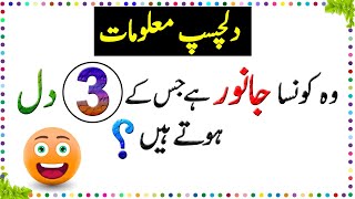 Paheliyan In Urdu  General Knowledge Questions And Answer  Facts About Animal Heart  Sky Ways [upl. by Hornstein]