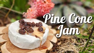 Pine Cone Jam A Wild Edible Favorite pineconejam bbqhammers [upl. by Hegyera301]