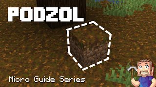 Podzol  Minecraft Micro Guide [upl. by Kcirad]