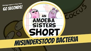 Misunderstood Bacteria  Amoeba Sisters Shorts [upl. by Nike]