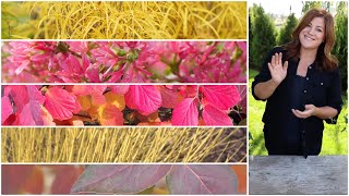 5 Shrubs that Deliver Huge FallColor ❤️🍁🧡🍂💛 Garden Answer [upl. by Daas]