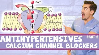 Antihypertensive Calcium Channel Blockers Part 2 [upl. by Sierra223]