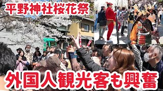 4月10日 外国人観光客も興奮！ 平野神社桜花祭桜花祭神幸列 kyoto japan [upl. by Ahsiya]