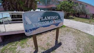 Flamingo Visitor Center Everglades National Park [upl. by Ydnys]