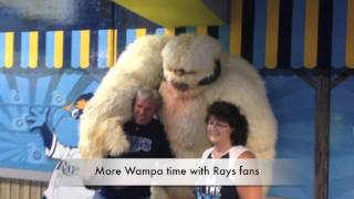 Wampa at the Tampa Bay Rays Star Wars Night [upl. by Orabelle]