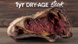 I dryaged STEAKS for 1 YEAR and ate it [upl. by Dulla]