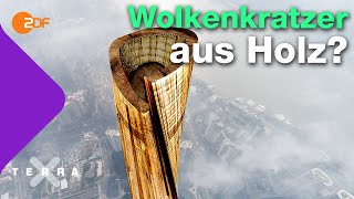 Mit Holz statt Beton klimafreundlicher bauen  Terra X plus [upl. by Vokay30]