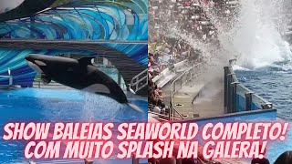 Show das Baleias no Sea World Orlando Completo  Show Orcas Seawolrd 2021 [upl. by Polk820]