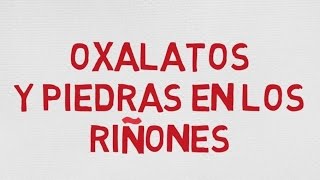 OXALATOS DE LOS ALIMENTOS Y PIEDRAS EN LOS RIÑONES [upl. by Anselma]