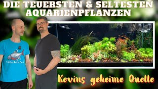 Teures Hobby  Seltene Aquarienpflanzen sammeln  AQUAddicted Unterwegs bei Raritätensammler Frank [upl. by Eatnoj]