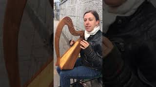 Irish Harp Street Musician in Cork [upl. by Vikki874]