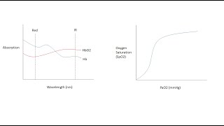 Understanding Oxygenation Respiratory Physiology and Clinical Application [upl. by Helaina]