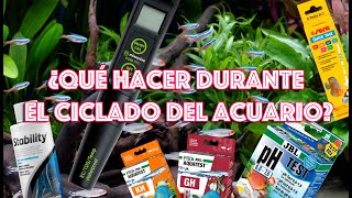 ¿Qué hacer durante el ciclado de un acuario [upl. by Paten]