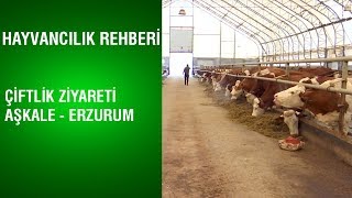 Hayvancılık Rehberi  Çiftlik Ziyareti  Aşkale  Erzurum [upl. by Frierson445]