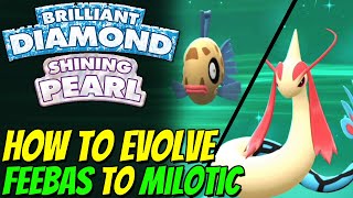 How to evolve FEEBAS to MILOTIC in Pokemon Brilliant Diamond and Shining Pearl [upl. by Vigor]