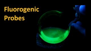 Turn On Fluorescence  Tetrazine Ligation Based Fluorogenic Probes [upl. by Euqinorev592]