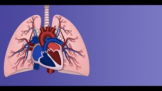 Persistent Pulmonary Hypertension of the Newborn Pathophysiology by A Moscatelli  OPENPediatrics [upl. by Fanechka983]