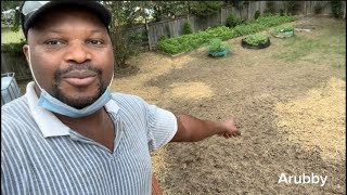 How to prepare and plant Fescue grass in fall [upl. by Langan]