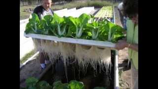 Indoor Aquaponics Systems DoItYourself Training  Aquaponics4u [upl. by Coady]