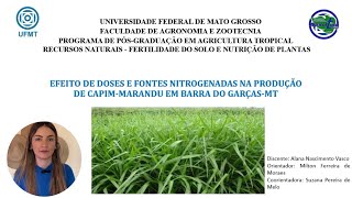 Efeito de doses e fontes nitrogenadas na produção de capimMarandu em Barra do Garças  MT 🌾ufmt [upl. by Fairweather]