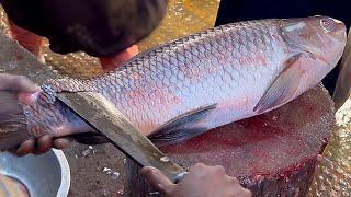 Amazing Big Rohu Fish Cutting Skills In Fish Market Bangladesh  Fish Cutting Skills [upl. by Ahsiugal]