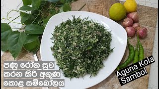 Aguna Kola Sambol  How to Make Aguna Kola Sambol  Aguna Kola Leaves [upl. by Atiuqaj751]