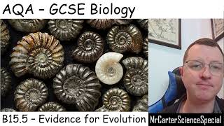 B155  Evidence for Evolution  AQA Biology GCSE 91 [upl. by Ihcelek]