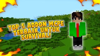 TOP 5 ADDON SURVIVAL TERBAIK DI MCPE 118 [upl. by Bates262]