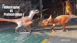 MCSV001DVelociraptor VS Protoceratops animatronics [upl. by Jit846]