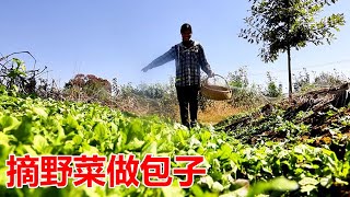 农村物资太丰富，凤姐挖野菜做包子吃，一家人赞不绝口【皖乡凤姐】 [upl. by Ardnaxila677]