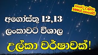 වසරේ හොඳම උල්කා වර්ෂාව මේ සති අන්තයේ I Perseids meteor shower 2024 [upl. by Shepley432]