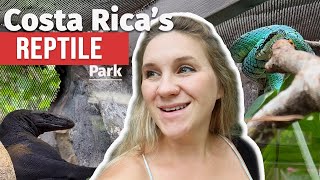 I Visit Costa Ricas BIGGEST Reptile Park [upl. by Agnella]