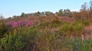 Gettysburg Little Round Top UNFOCUSED pt 1 [upl. by Schulman]