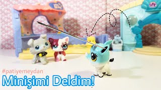 LPS MİNİŞİMİN KULAĞINI DELDİM  patiyemeydan  Minişler LPS Pati [upl. by Gaudet643]