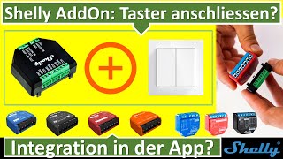 Shelly Plus AddOn Taster anschliessen und konfigurieren [upl. by Carolus]