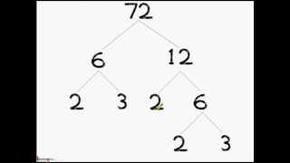 Math  Prime factorization  What is a Factor Tree  English [upl. by Laveen483]