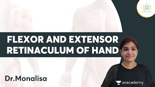 biomechanics of flexor tendons amp extensor expansion [upl. by Sivlek231]